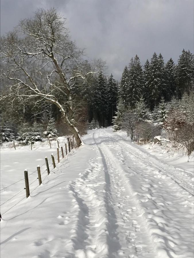 Ferienwohnung Gretel Von Birne Winterberg Buitenkant foto